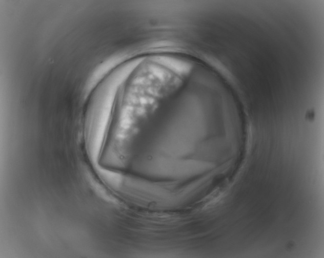 X0000115181413200911251346