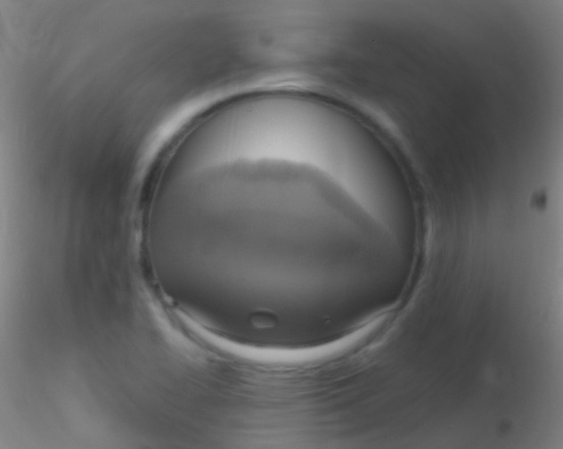 X0000115181414200911251346