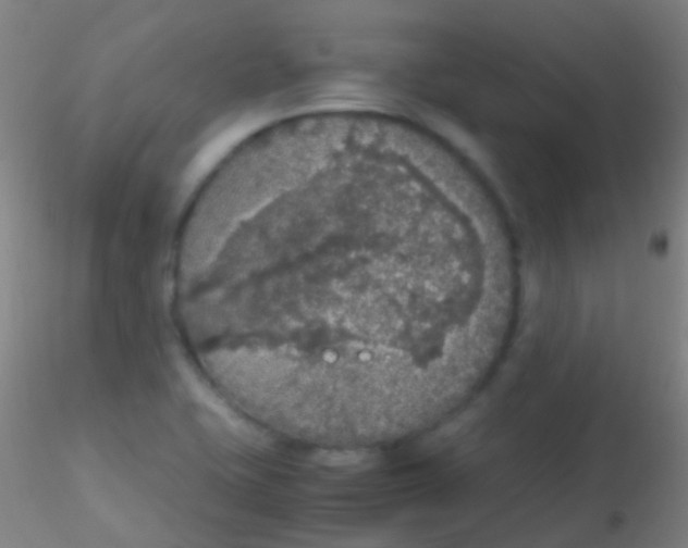 X0000115181415200911251346