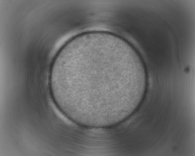 X0000115181416200911251346