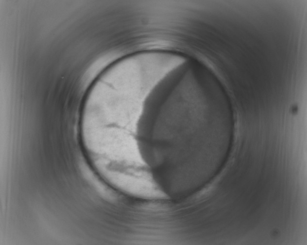 X0000115181418200911251346