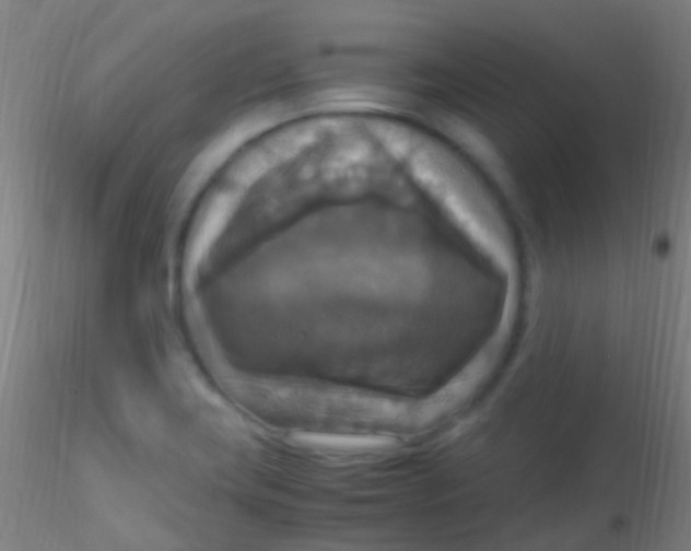 X0000115181419200911251346