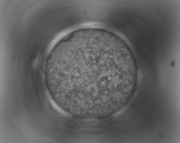 X0000115181421200911251346