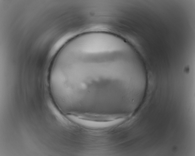 X0000115181422200911251346