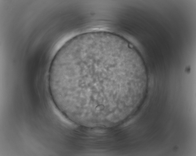 X0000115181423200911251346