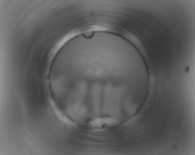 X0000115181427200911251346