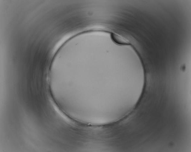 X0000115181428200911251346