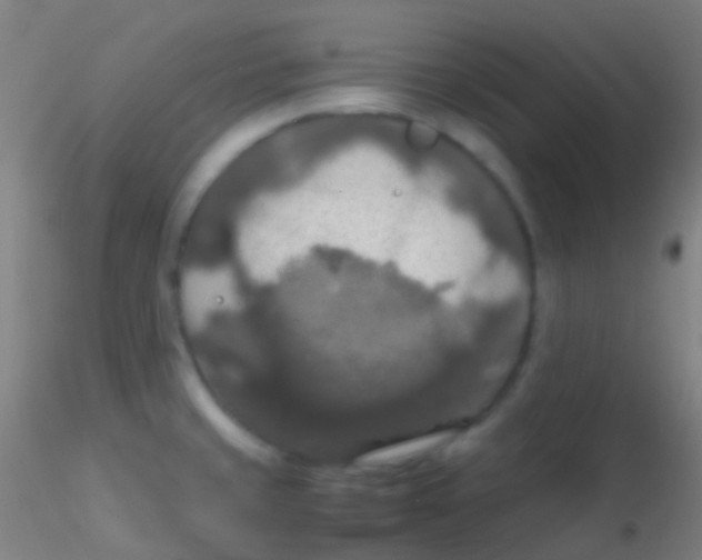 X0000115181429200911251346