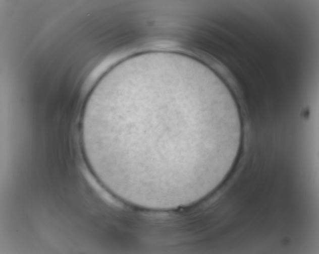 X0000115181432200911251346