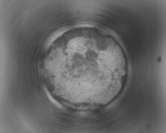 X0000115181433200911251346