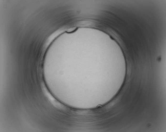 X0000115181434200911251346