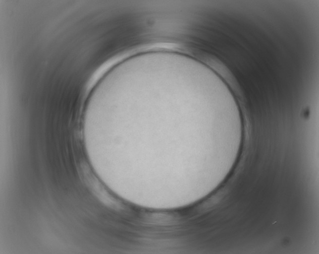 X0000115181436200911251346