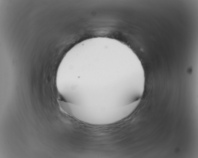 X0000115181441200911251346