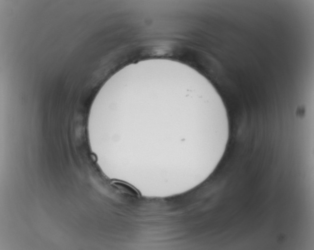 X0000115181442200911251346