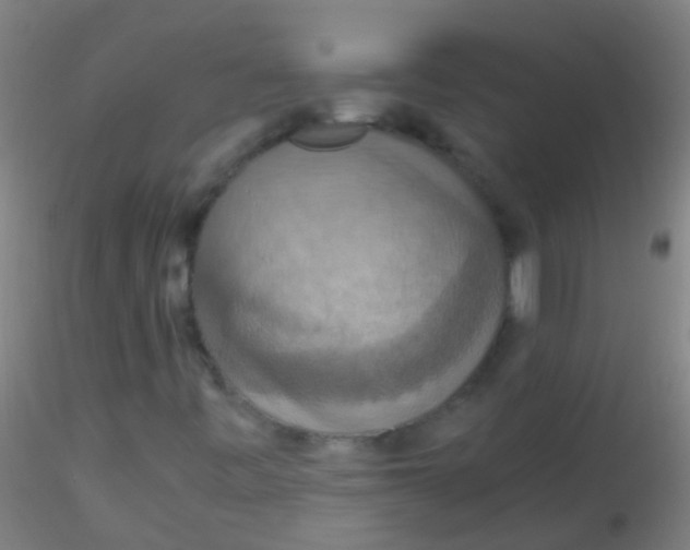 X0000115181443200911251346