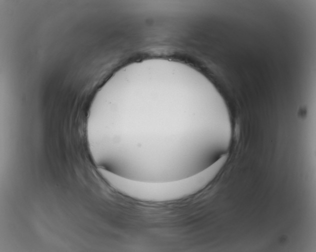 X0000115181444200911251346