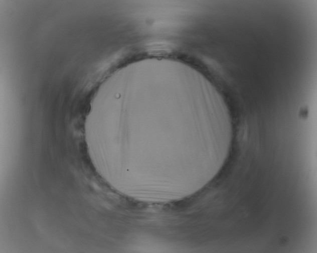 X0000115181445200911251346