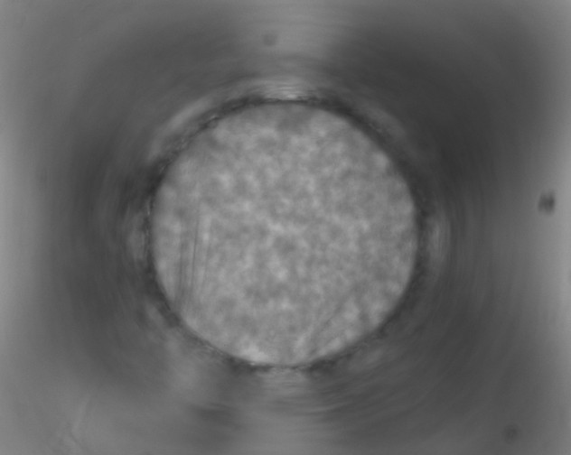X0000115181446200911251346