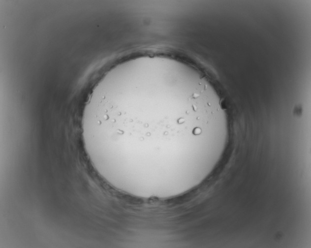 X0000115181447200911251346