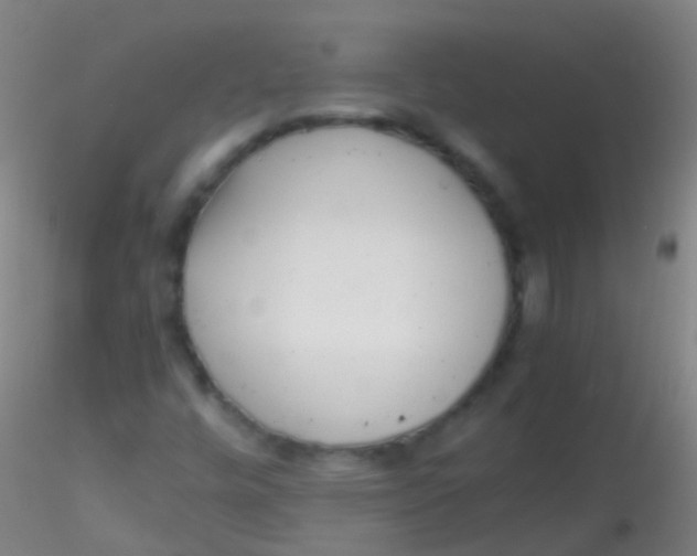 X0000115181448200911251346