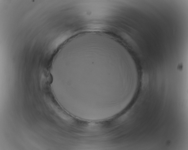 X0000115181449200911251346