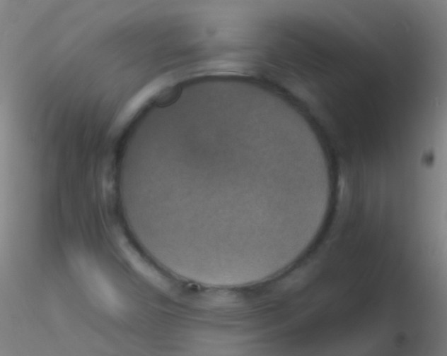 X0000115181450200911251345