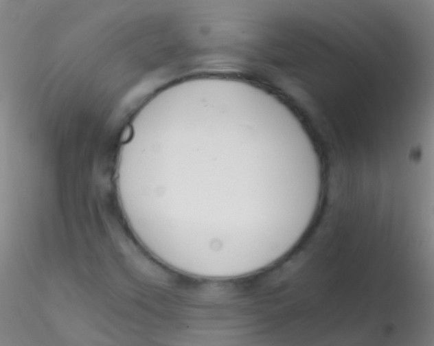 X0000115181451200911251345