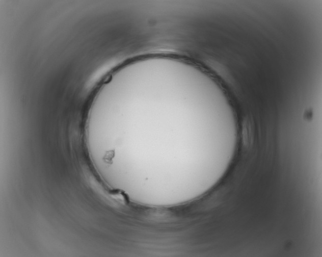 X0000115181452200911251345