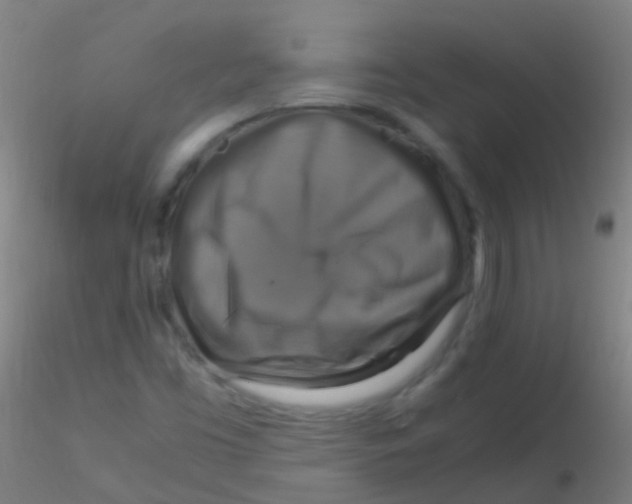 X0000115181453200911251345