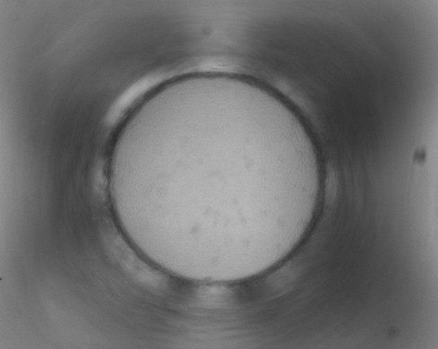 X0000115181454200911251345