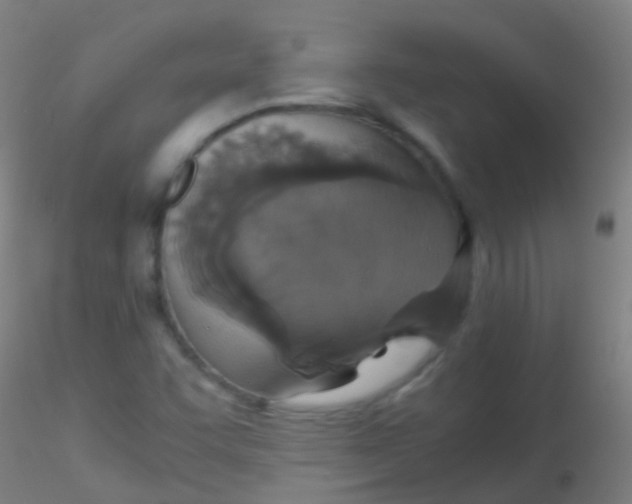 X0000115181455200911251345