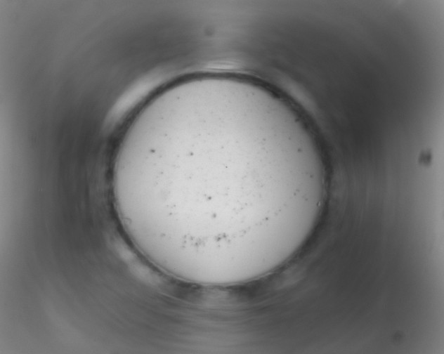 X0000115181456200911251345