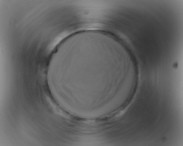 X0000115181457200911251345