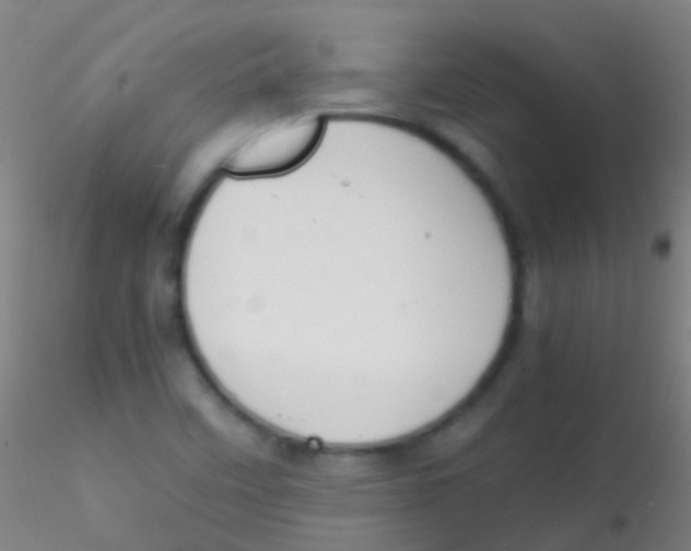 X0000115181458200911251345