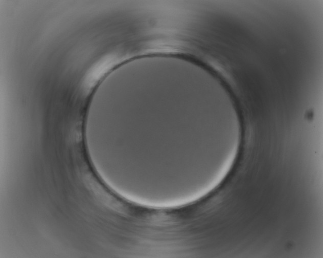 X0000115181459200911251345