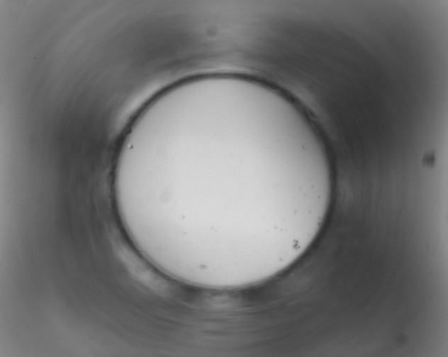 X0000115181460200911251345