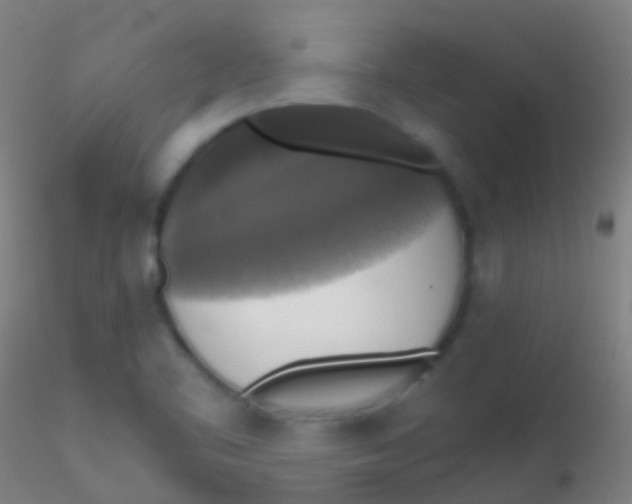 X0000115181461200911251345