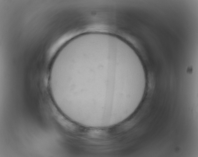 X0000115181462200911251345