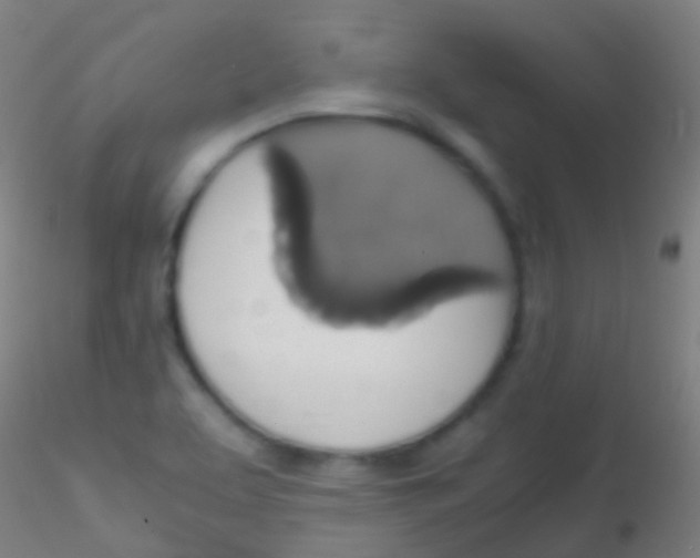X0000115181463200911251345