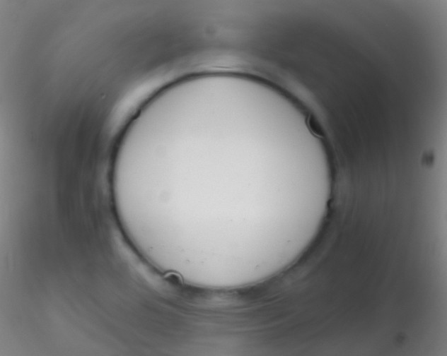 X0000115181464200911251345