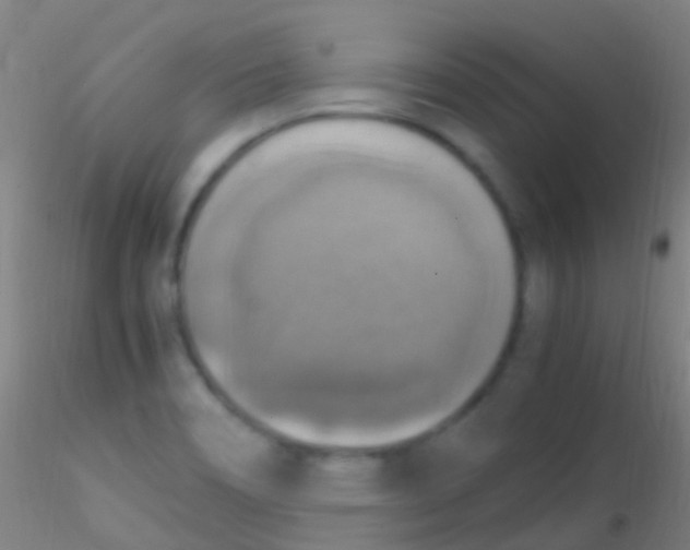X0000115181466200911251345