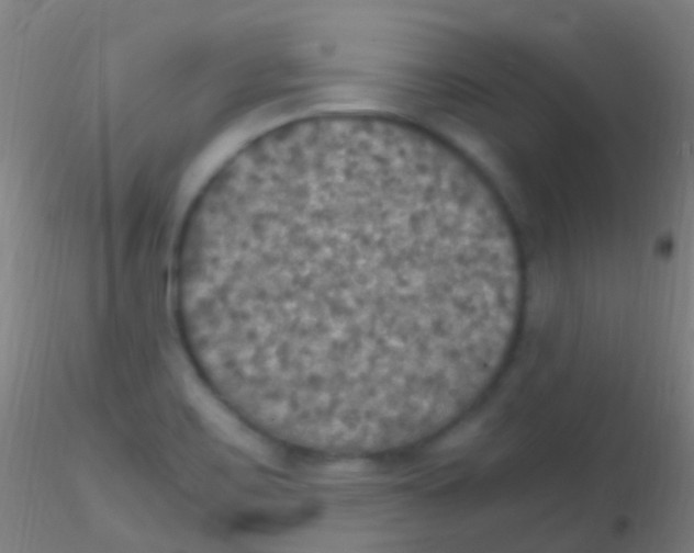 X0000115181467200911251345