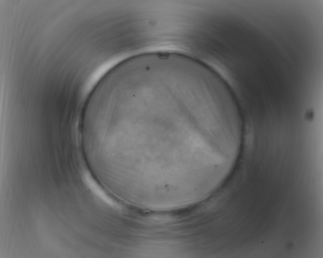 X0000115181468200911251345
