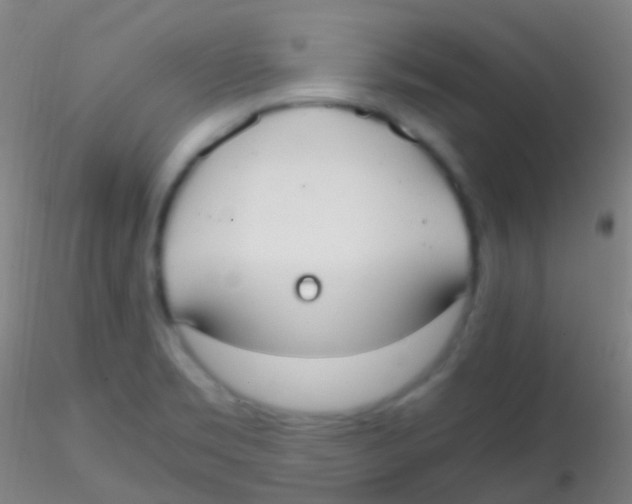X0000115181469200911251345