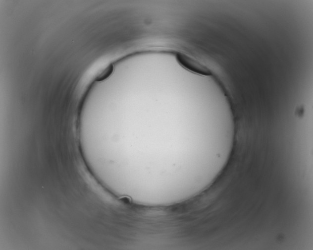 X0000115181472200911251345
