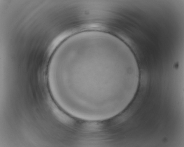 X0000115181474200911251345