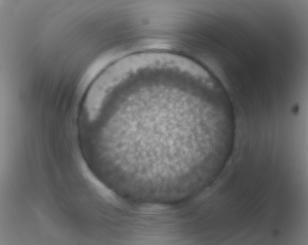 X0000115181475200911251345