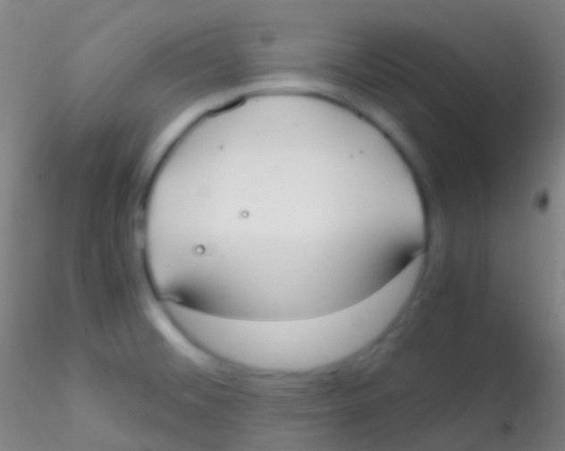 X0000115181476200911251345