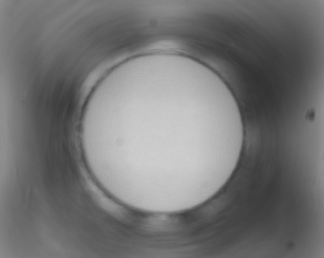 X0000115181478200911251345