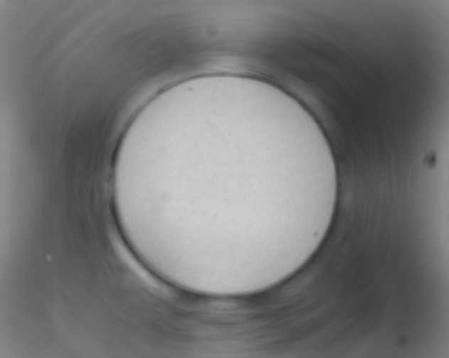 X0000115181479200911251345